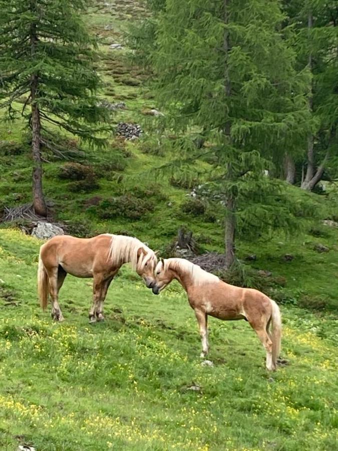 Haus Schwaighof Appartement Arzl im Pitztal Buitenkant foto