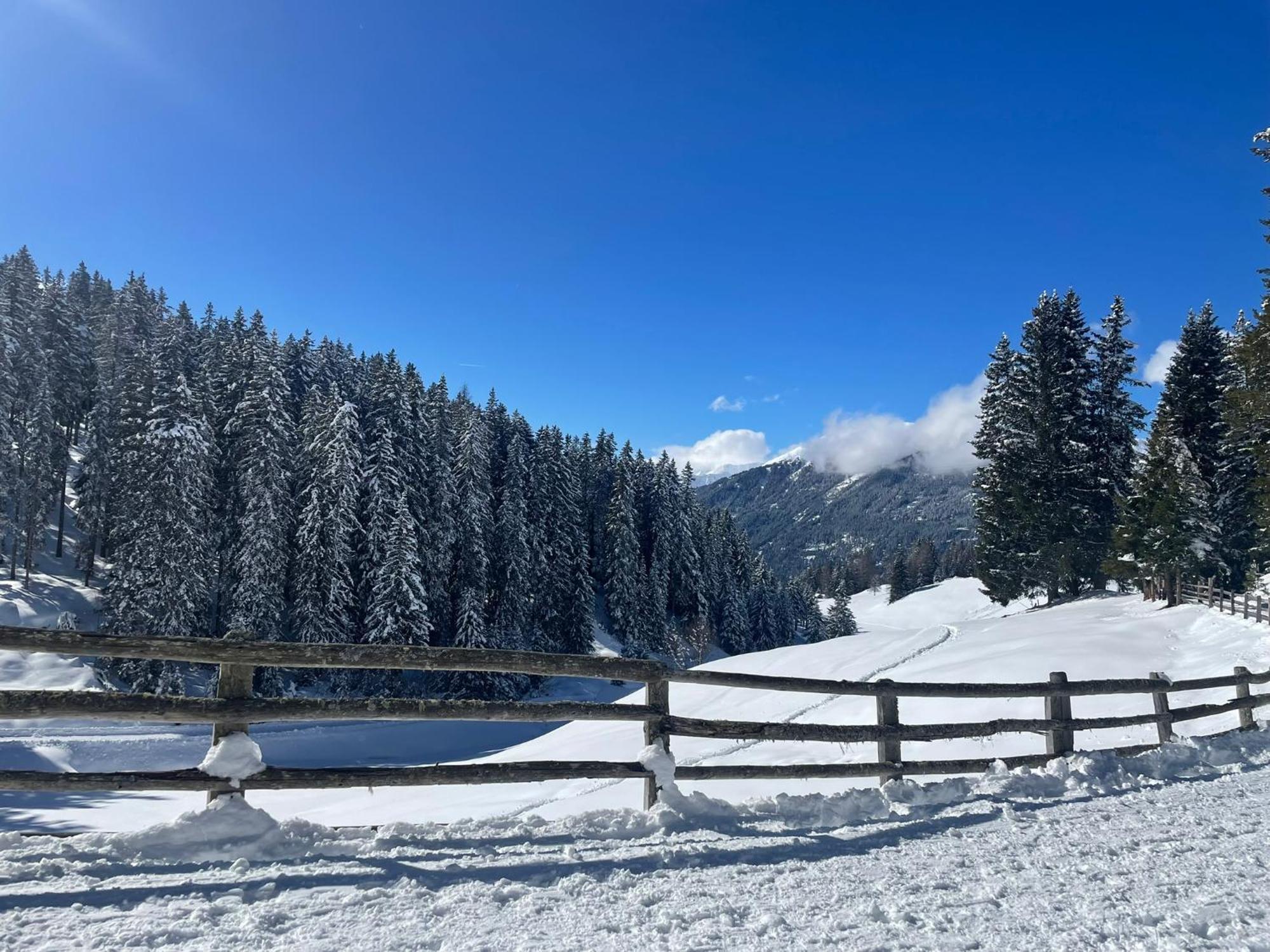 Haus Schwaighof Appartement Arzl im Pitztal Buitenkant foto